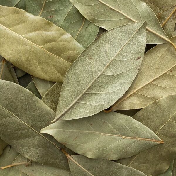 Bay leave